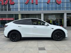 Tesla Model Y Long Range All-Wheel Drive 3D7 - ფოტო 5
