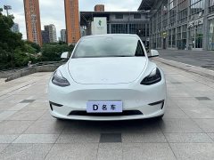 Tesla Model Y Long Range All-Wheel Drive 3D7 - ფოტო 6