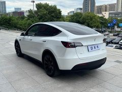 Tesla Model Y Long Range All-Wheel Drive 3D7 - ფოტო 8