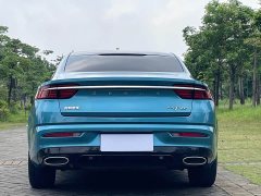 Geely Xingrui 2.0T Diesel Luxury - ფოტო 10
