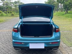 Geely Xingrui 2.0T Diesel Luxury - ფოტო 16