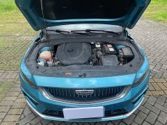 Geely Xingrui 2.0T Diesel Luxury - ფოტო 20
