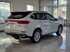 Haval M6 2021 PLUS 1.5T DCT Luxury Smart Connected Edition - ფოტო 6