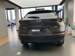 Mazda CX-30 2022 2.0L Automatic Elegance - ფოტო 8