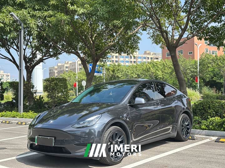 Tesla Model Y 2024 Rear-Wheel Drive - ავტომობილი ჩინეთიდან