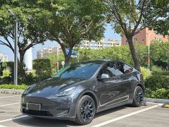Tesla Model Y 2024 Rear-Wheel Drive - ფოტო 1