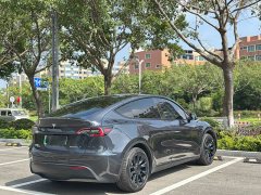 Tesla Model Y 2024 Rear-Wheel Drive - ფოტო 10