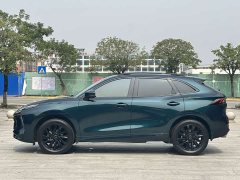Dongfeng Fenghang T5 EVO 2021 1.5TD DCT Star Shine Edition - ფოტო 4