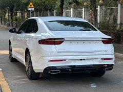 Geely Xingrui 2.0T Diesel Luxury Plus - ფოტო 6