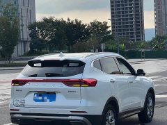 Haval H6 National Trend 1.5GDIT Automatic Champion Edition - ფოტო 7