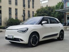 Dongfeng Nano 01 2024 430 Plus Smart - ფოტო 1