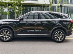 Haval H6 Third Generation 1.5T Automatic Two-Wheel Drive Pro - ფოტო 5