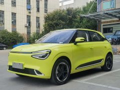 Dongfeng Nano 01 2024 430 Plus Smart - ფოტო 1