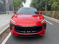 Dongfeng Fengxing T5 EVO 1.5TD DCT Glory Edition - ფოტო 2