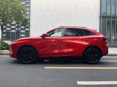 Dongfeng Fengxing T5 EVO 1.5TD DCT Glory Edition - ფოტო 4