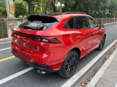 Dongfeng Fengxing T5 EVO 1.5TD DCT Glory Edition - ფოტო 6