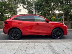 Dongfeng Fengxing T5 EVO 1.5TD DCT Glory Edition - ფოტო 7