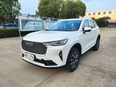 Haval H6 1.5T RWD Classic Edition - ფოტო 1