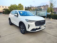 Haval H6 1.5T RWD Classic Edition - ფოტო 3