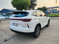 Haval H6 1.5T RWD Classic Edition - ფოტო 5