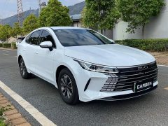 BYD Destroyer 05 Glory Edition DM-i 55KM Luxury - ფოტო 3