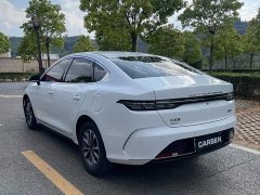 BYD Destroyer 05 Glory Edition DM-i 55KM Luxury - ფოტო 6