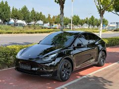 Tesla Model Y Long Range All-Wheel Drive - ფოტო 1
