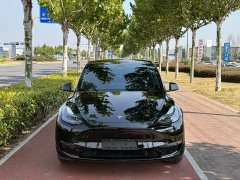 Tesla Model Y Long Range All-Wheel Drive - ფოტო 2