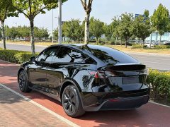 Tesla Model Y Long Range All-Wheel Drive - ფოტო 3
