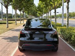 Tesla Model Y Long Range All-Wheel Drive - ფოტო 4