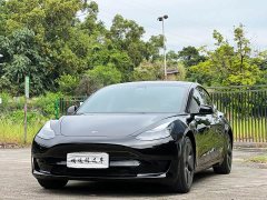 Tesla Model 3 2022 Rear-Wheel Drive - ფოტო 1