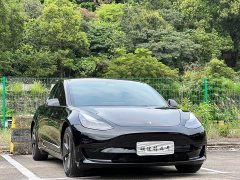 Tesla Model 3 2022 Rear-Wheel Drive - ფოტო 3