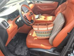 Geely Galaxy M7 Voyager 225km Explorer Edition - ფოტო 9