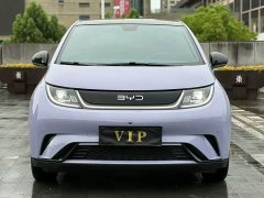 BYD Dolphin Glory Edition 420km Fashion Version - фото 2
