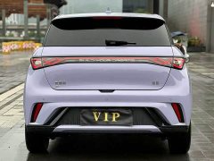BYD Dolphin Glory Edition 420km Fashion Version - фото 5