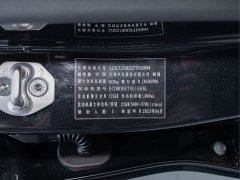 Ford Lingrui EcoBoost 170 Supreme Executive Edition - ფოტო 2
