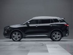 Ford Lingrui EcoBoost 170 Supreme Executive Edition - ფოტო 6