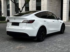 Tesla Model Y Facelift Long Range All-Wheel Drive 3D5 - ფოტო 16