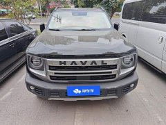 Great Wall Dachshund 1.5T DCT Border Collie Edition - ფოტო 2