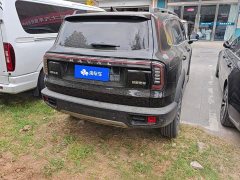 Great Wall Dachshund 1.5T DCT Border Collie Edition - ფოტო 3