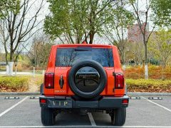 Tank 300 2023 Off-Road Edition 2.0T Conqueror - ფოტო 5