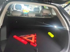 BYD Sea Lion 06 EV 710 Pilot Flash Charging Edition - ფოტო 4