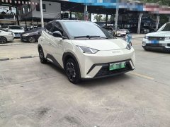BYD Seagull 2025 305km Freedom Edition - ფოტო 3