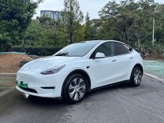 Tesla Model Y Long Range All-Wheel Drive - ფოტო 1