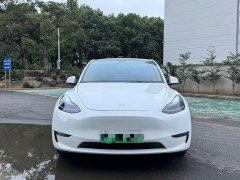 Tesla Model Y Long Range All-Wheel Drive - ფოტო 2
