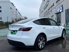 Tesla Model Y Long Range All-Wheel Drive - ფოტო 7
