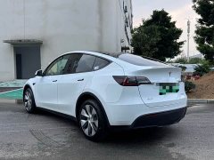 Tesla Model Y Long Range All-Wheel Drive - ფოტო 9
