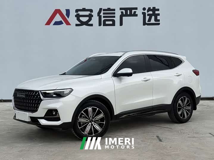 Haval H6 National Trend Edition 1.5T Automatic Champion Version - ავტომობილი ჩინეთიდან