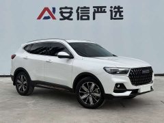 Haval H6 National Trend Edition 1.5T Automatic Champion Version - ფოტო 3
