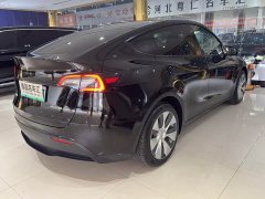 Tesla Model Y Rear-Wheel Drive - ფოტო 6